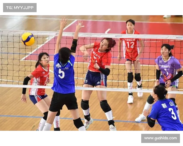 全国排球业余联赛