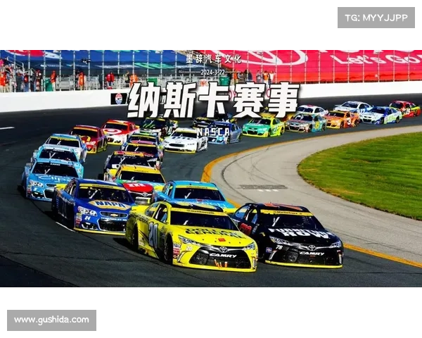 纳斯卡杯赛车