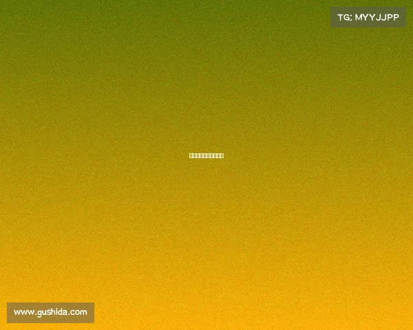 深圳喵鱼科技有限公司